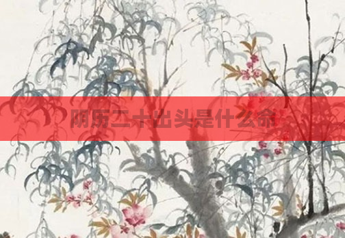 阴历二十出头是什么命