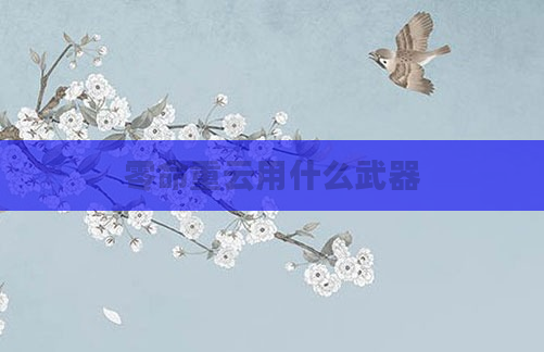零命重云用什么武器