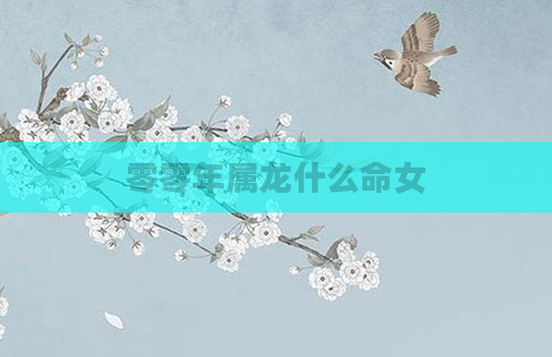 零零年属龙什么命女