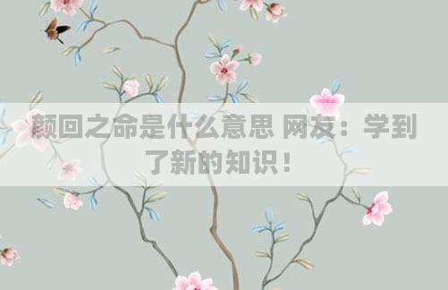 颜回之命是什么意思 网友：学到了新的知识！