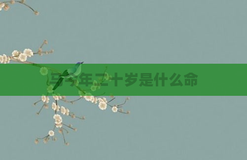 马今年二十岁是什么命