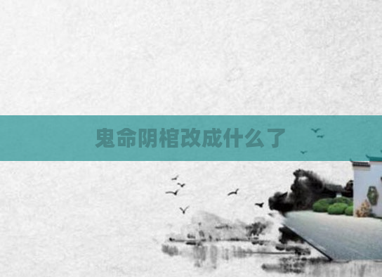 鬼命阴棺改成什么了