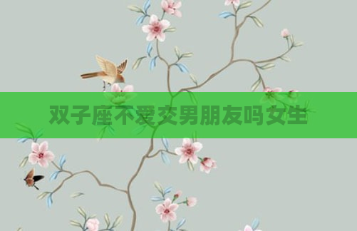 双子座不爱交男朋友吗女生