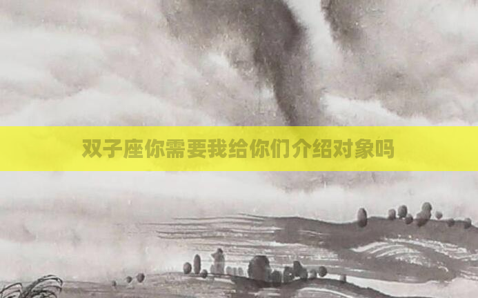 双子座你需要我给你们介绍对象吗