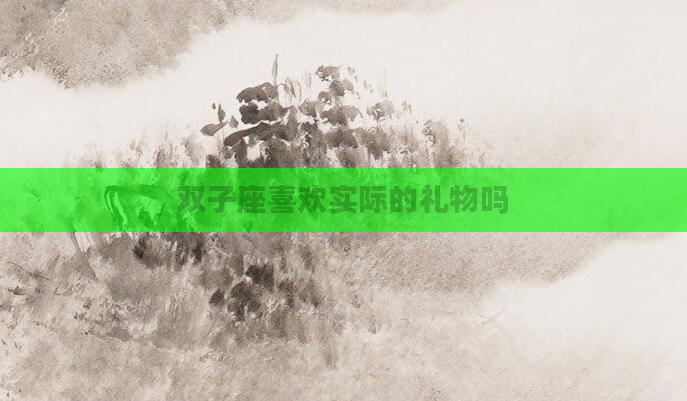 双子座喜欢实际的礼物吗