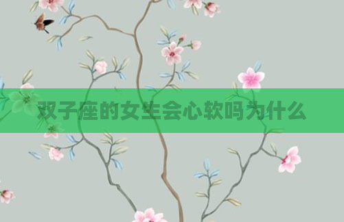 双子座的女生会心软吗为什么