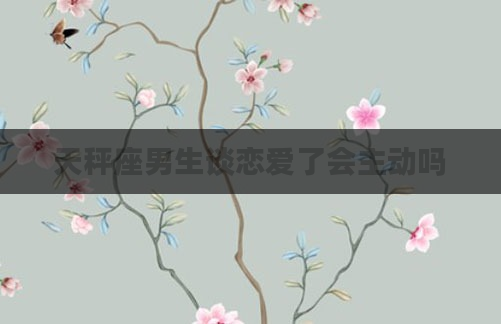 天秤座男生谈恋爱了会主动吗