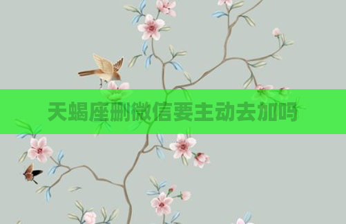 天蝎座删微信要主动去加吗