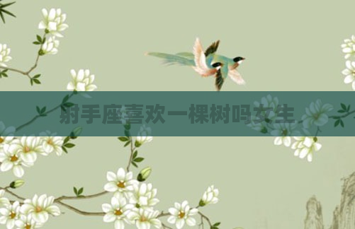 射手座喜欢一棵树吗女生