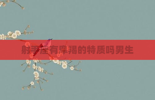 射手座有摩羯的特质吗男生