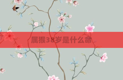 属猴38岁是什么命