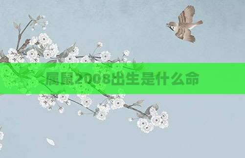 属鼠2008出生是什么命