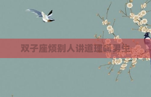 双子座烦别人讲道理吗男生