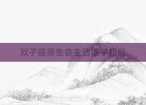 双子座男生会主动追学姐吗