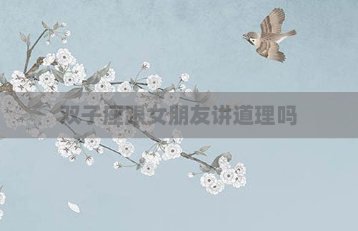 双子座跟女朋友讲道理吗