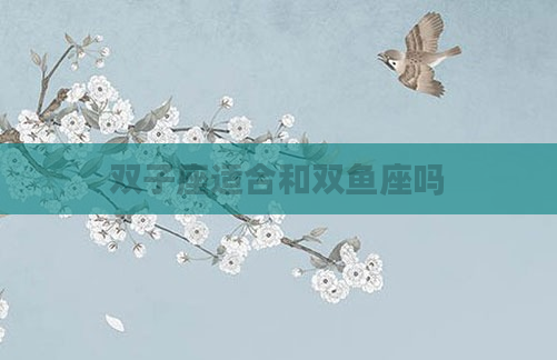 双子座适合和双鱼座吗
