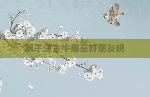 双子座金牛座是好朋友吗