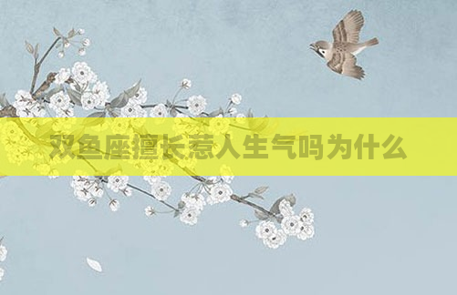 双鱼座擅长惹人生气吗为什么