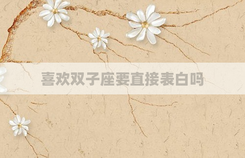 喜欢双子座要直接表白吗