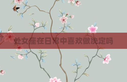 处女座在日常中喜欢做决定吗