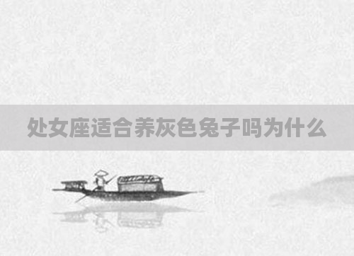 处女座适合养灰色兔子吗为什么