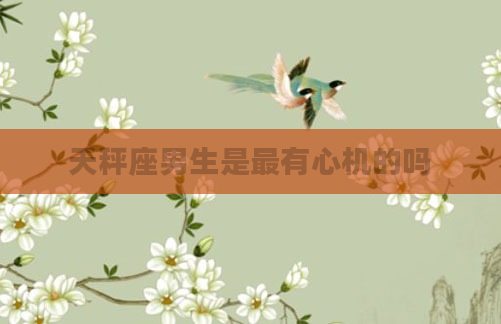 天秤座男生是最有心机的吗