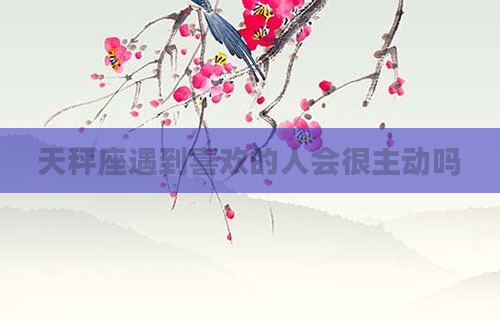 天秤座遇到喜欢的人会很主动吗