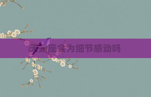 天蝎座会为细节感动吗