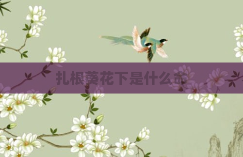 扎根葵花下是什么命