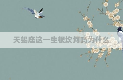 天蝎座这一生很坎坷吗为什么