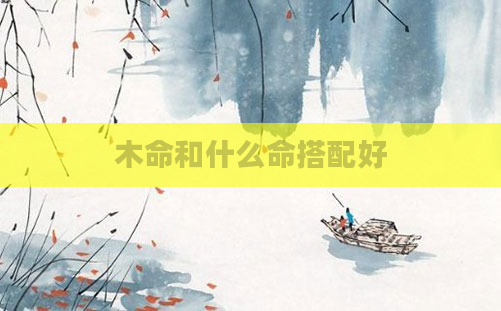 木命和什么命搭配好