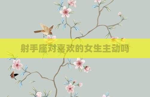 射手座对喜欢的女生主动吗