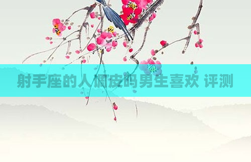 射手座的人调皮吗男生喜欢 评测