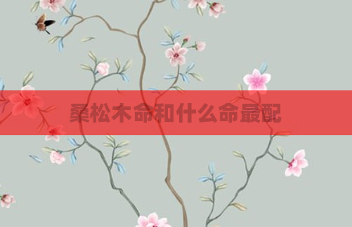 桑松木命和什么命最配