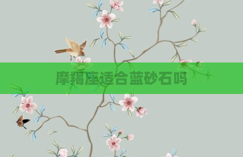 摩羯座适合蓝砂石吗