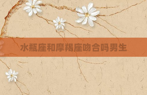 水瓶座和摩羯座吻合吗男生