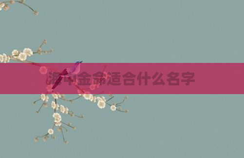 海中金命适合什么名字