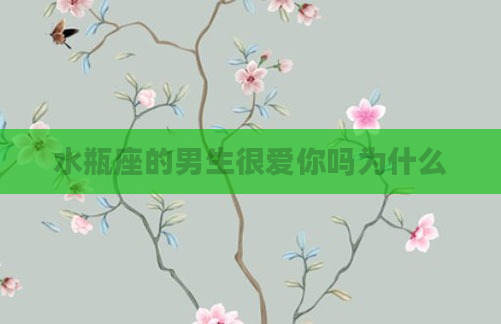 水瓶座的男生很爱你吗为什么