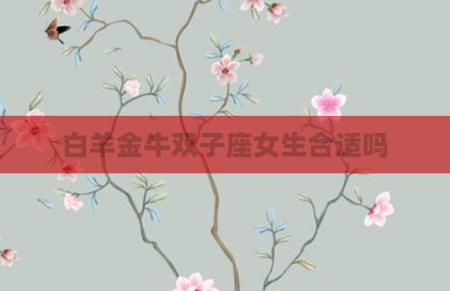白羊金牛双子座女生合适吗
