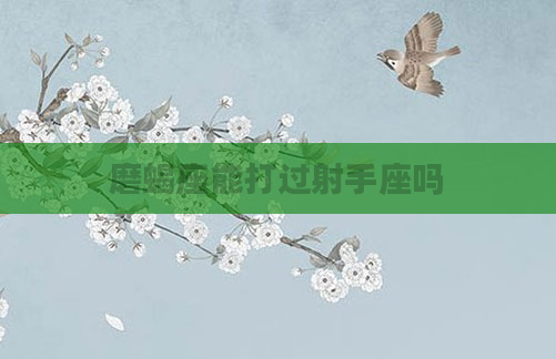 磨蝎座能打过射手座吗