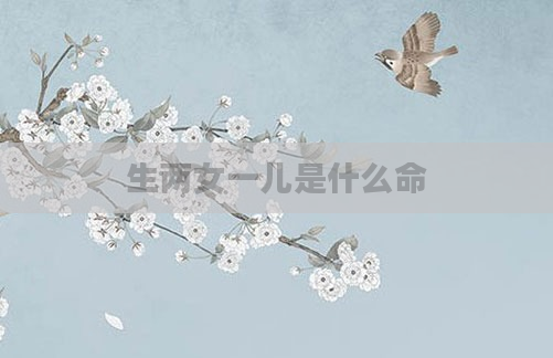 生两女一儿是什么命