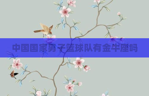 中国国家男子篮球队有金牛座吗