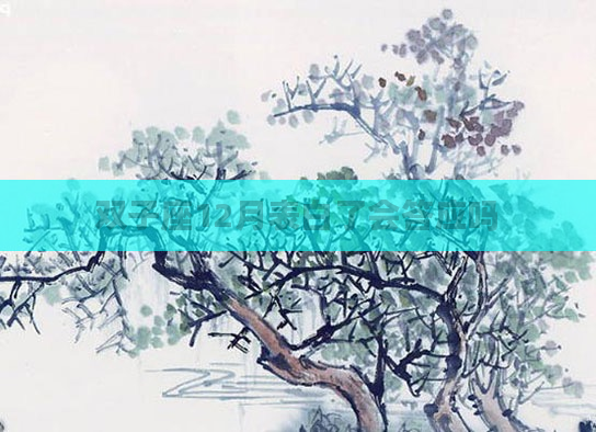 双子座12月表白了会答应吗