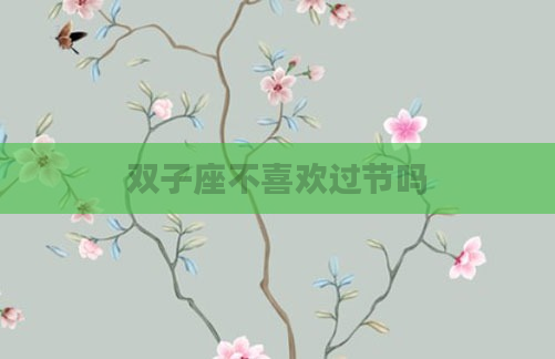 双子座不喜欢过节吗