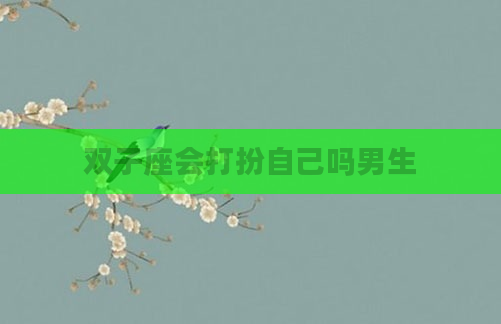 双子座会打扮自己吗男生