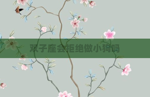 双子座会拒绝做小狗吗