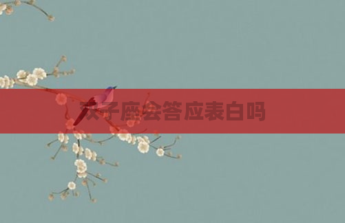 双子座会答应表白吗