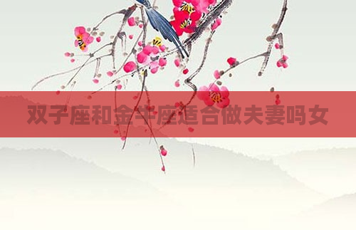双子座和金牛座适合做夫妻吗女