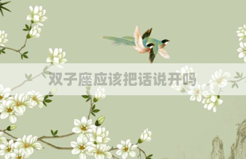 双子座应该把话说开吗