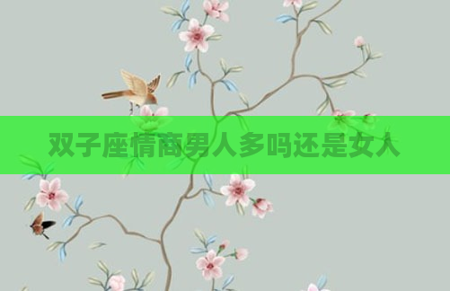双子座情商男人多吗还是女人